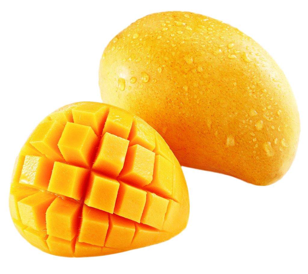 مانجو mango