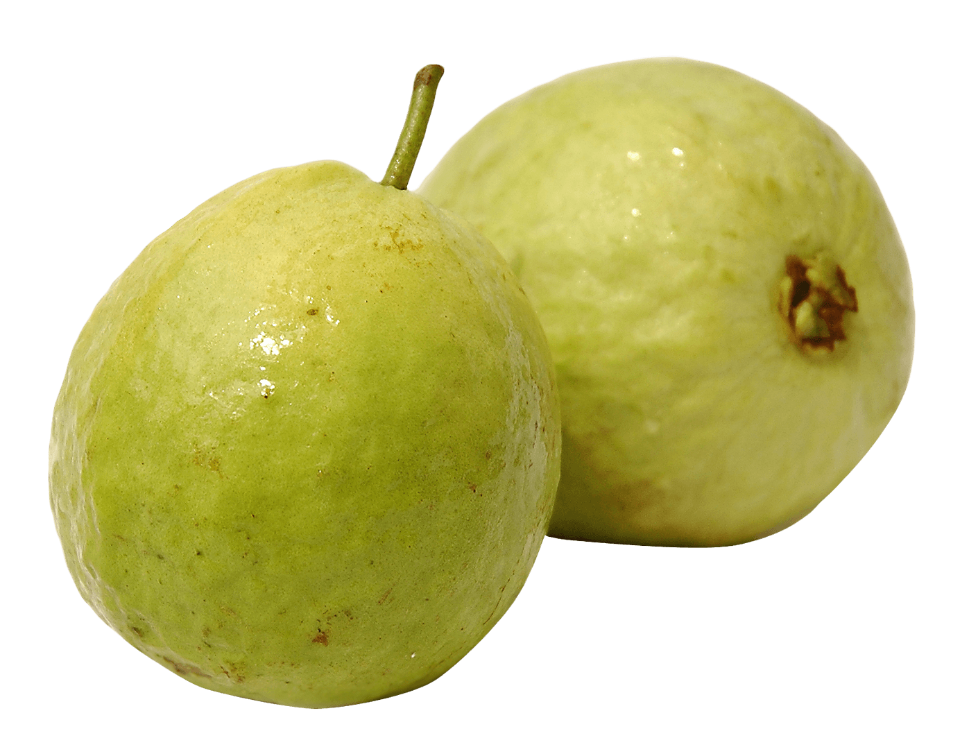 Guava جوافة