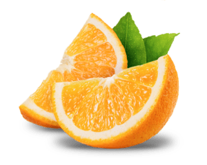 Orange Slice شرائح البرتقال