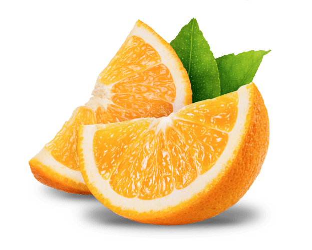 Orange Slice شرائح البرتقال